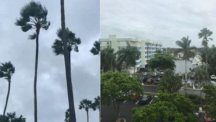 Las palmeras se sacuden en Disney. En Miami parece que lo peor ya pasó.