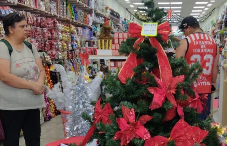 Los vecinos ya consultan precios y hacen las compras para armar el árbol de Navidad.