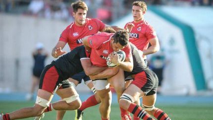 Los Ceibos no serán parte de la próxima temporada de la MLR.