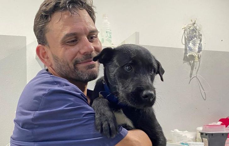 Hernán vacunaba a las mascotas y se encargaba de las adopciones.