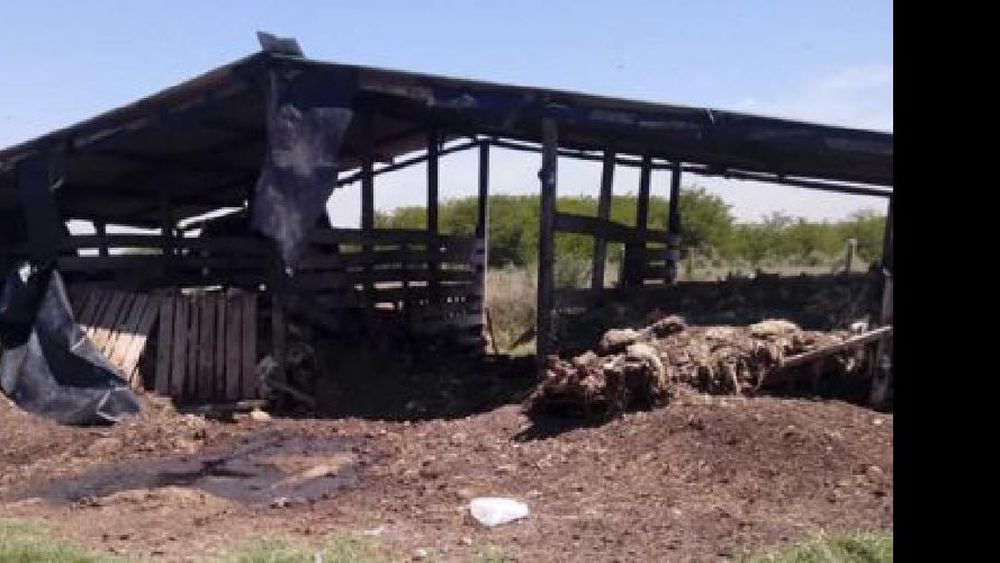 Trabajaban en situación de vulnerabilidad.