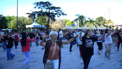 Habrá shows en la Plaza Grigera, el Teatro del Municipio y el Museo Americanista.