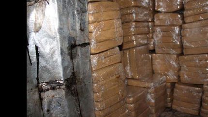 indagan a los policias por la droga que ?se comieron las ratas?