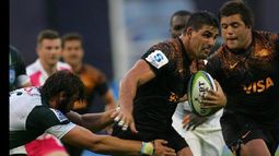 Jaguares buscará un nuevo triunfo por la quinta fecha del Super Rugby.