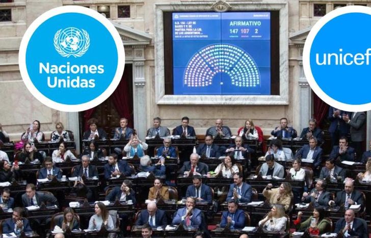 El proyecto para bajar la edad de imputabilidad a los 13 años tiene fuerte rechazo en organismos internacionales.
