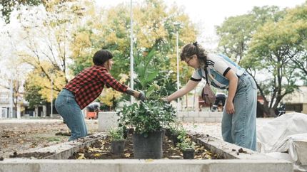 A las 10 comenzarán las actividades en diferentes espacios.