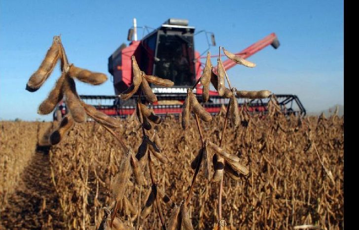 Se dejaron sin efectos resoluciones de la anterior gestión.