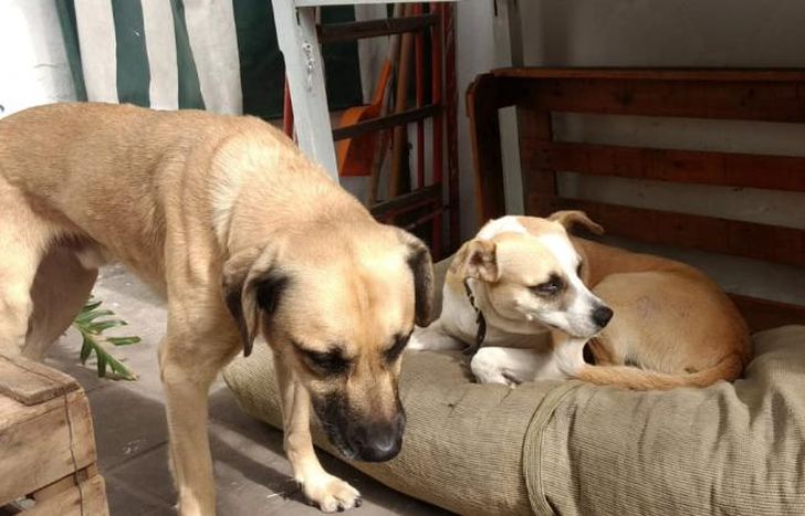 Ema y Tom seguirán junto a Flavia. La historia concluyó feliz.