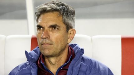 Pellegrino busca un goleador.