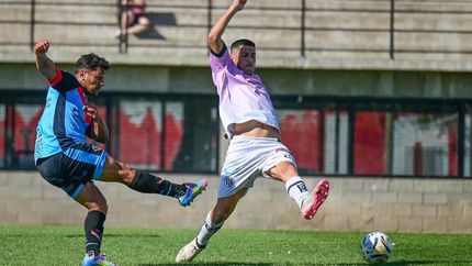 Brown impone condiciones ante el descendido Fénix.