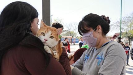 Aplicarán vacunas, desparasitaciones y brindarán atención clínica.