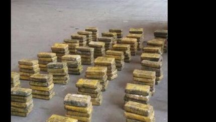 detienen a cuatro hombres con casi 200 kilos de marihuana en budge