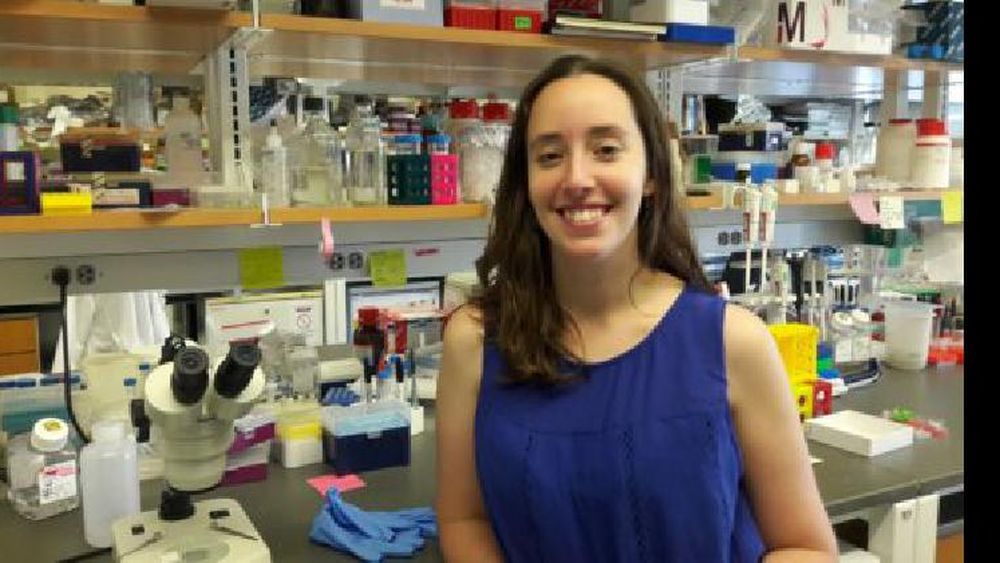 Estudia cómo se forman las neuronas en la corteza cerebral.