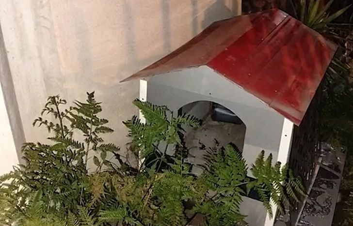 La cucha en la que se escondió el delincuente.&nbsp;