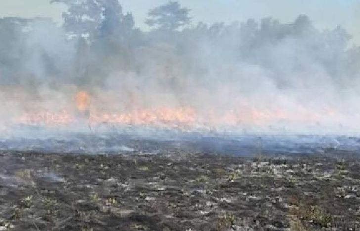 el lugar fue declarado de interés municipal en diciembre del año pasado.