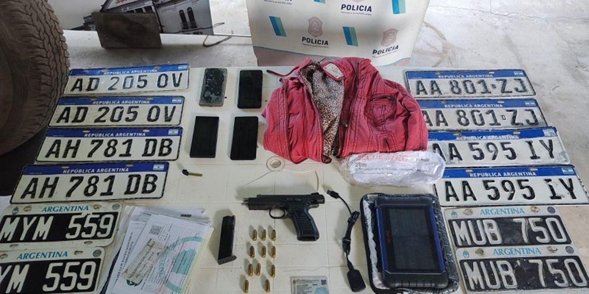 Les incautaron varias patentes y un arma de fuego.