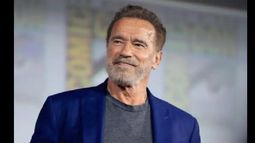 Arnold Schwarzenegger probará suerte en la televisión con una serie