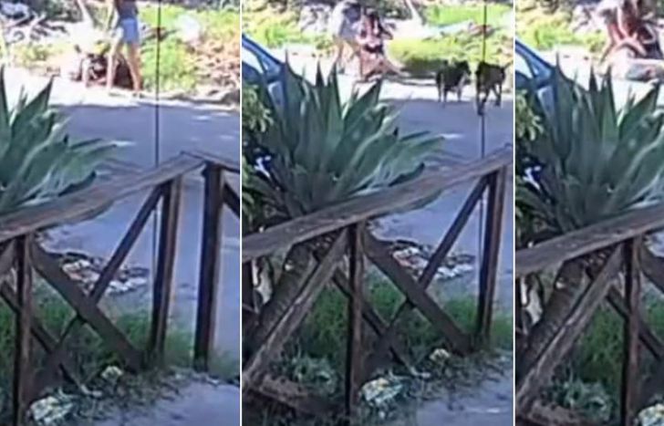 Una cámara de seguridad registro el violento momento.