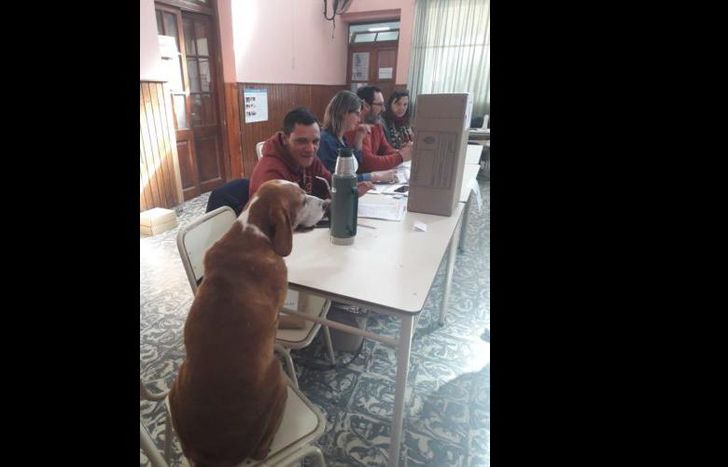 una usuaria posteó la imagen de un fiscal “de cuatro patas”.