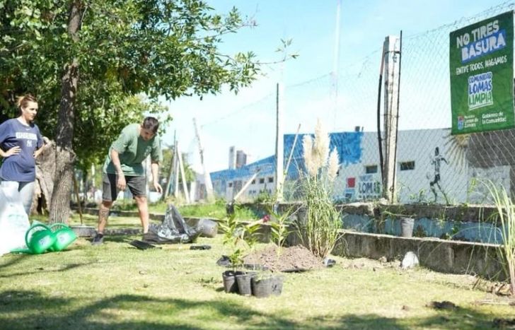 La limpieza se complementa con plantación de especies nativas.