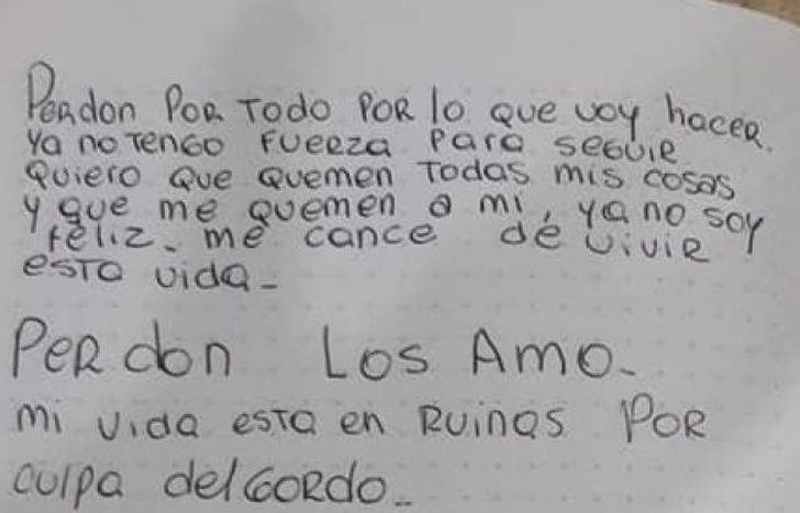 Perdón. Los amo.