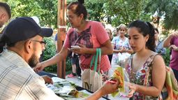 Las semillas son 100% agroecológicas, sin agroquímicos.