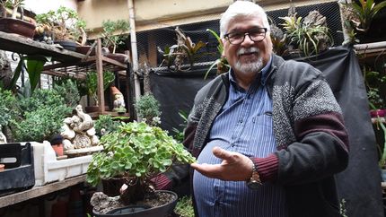 Héctor arrancó con su pasión por los bonsái desde que tenía 15 años.