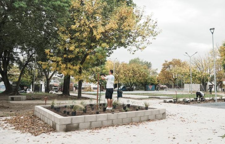 Hicieron tareas de forestación para sembrar árboles y plantas nativas.