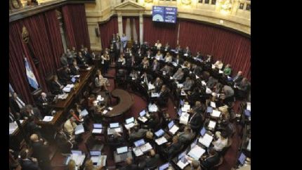 Vista parcial del recinto de la Camara de Senadores durante la sesion donde se debate la reforma del Codigo Procesal Penal en el Congreso Nacional, en Buenos Aires, el 19 de noviembre de 2014.  (ALEJANDRO PAGNI / PRENSA SENADO)