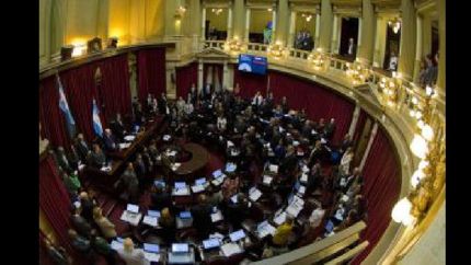 senado