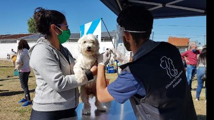 continua la atencion de las mascotas en los barrios de lomas