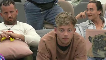 como se dio el complot y sancion para los monitos en gran hermano