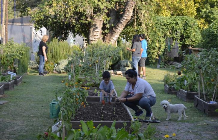 Ya instalaron 90 huertas en espacios públicos.